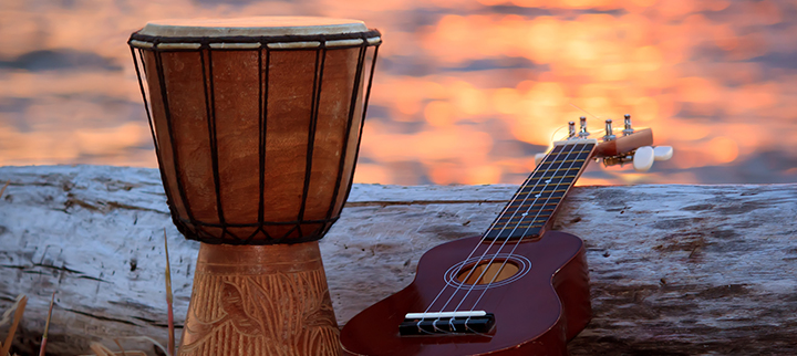 Small drum and ukulele near log with ocean in the background