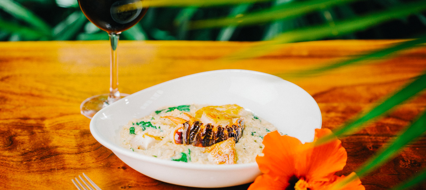 Plated risotto with lobster tail and a glass of red wine